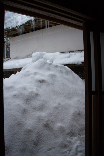 裏庭に降り積もった雪